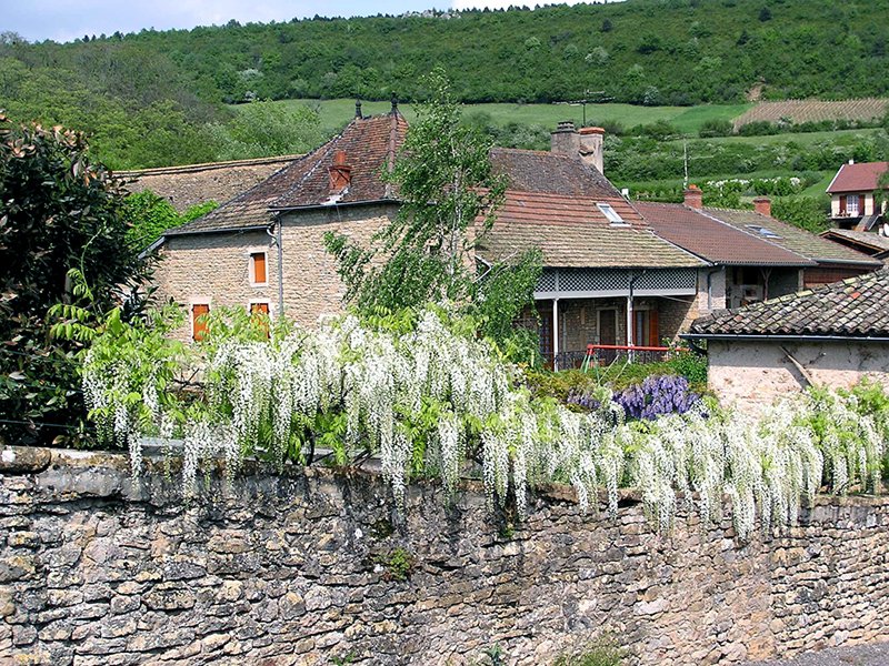 Maisons traditionnelles