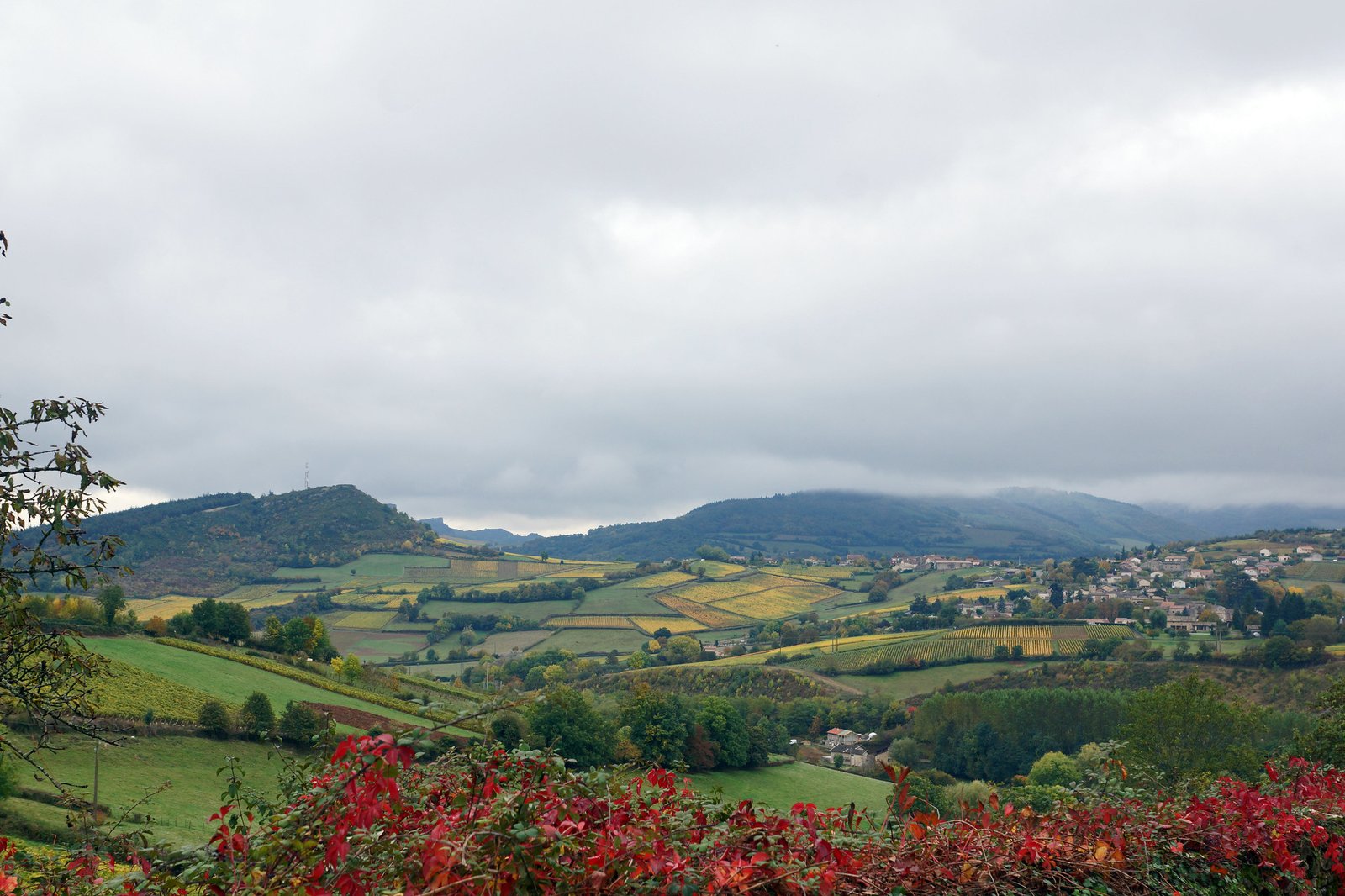 Paysages à Berzé-la-Ville